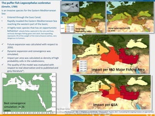 "Supporting Blue Growth with innovative applications based
on EU e-infrastructures”, 14-15 February 2018, Brussels
The puffer fish Lagocephalus sceleratus
(Gmelin, 1789)
is an invasive species for the Eastern Mediterranean
Sea:
• Entered through the Suez Canal;
• Rapidly invaded the Eastern Mediterranean Sea
reaching the western part of the basin;
• A highly-toxic species that has an opportunistic
behaviour: attacks fishes captured in the nets and lines,
seriously damages fishing gears and catch, fast expanding,
represents 4% of the weight of the total artisanal catches, very
dangerous to humans.
 Future expansion was calculated with respect to
2050;
 Dynamic expansion and convergence was
simulated;
 Impact per area was calculated as density of high
probability cells in the subdivisions;
 The quality of the model was evaluated with
respect to real observation and to published and
grey literature*;
Geographic
reachability today
Best convergence
simulation: in 26
years *G. Coro, L. G. Vilas, C. Magliozzi, A. Ellenbroek, P. Scarponi, P. Pagano. 2017. Forecasting the ongoing invasion of Lagocephalus
sceleratus in the Mediterranean Sea, Ecological Modelling (Elsevier)
 