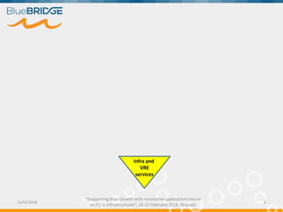 "Supporting Blue Growth with innovative applications based
on EU e-infrastructures”, 14-15 February 2018, Brussels
15/02/2018 3
Infra and
VRE
services
 