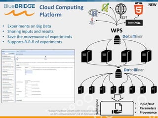 "Supporting Blue Growth with innovative applications based
on EU e-infrastructures”, 14-15 February 2018, Brussels
• Experiments on Big Data
• Sharing inputs and results
• Save the provenance of experiments
• Supports R-R-R of experiments
• Input/Out
• Parameters
• Provenance
Cloud Computing
Platform
WPS
REST
NEW
Workspace
 