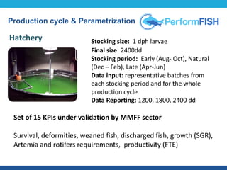 Production cycle & Parametrization
Stocking size: 1 dph larvae
Final size: 2400dd
Stocking period: Early (Aug- Oct), Natural
(Dec – Feb), Late (Apr-Jun)
Data input: representative batches from
each stocking period and for the whole
production cycle
Data Reporting: 1200, 1800, 2400 dd
Hatchery
Set of 15 KPIs under validation by MMFF sector
Survival, deformities, weaned fish, discharged fish, growth (SGR),
Artemia and rotifers requirements, productivity (FTE)
 