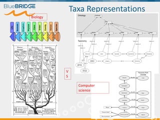 Taxa Representations
Biology
Computer
science
V
S
 