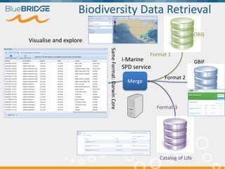 Biodiversity Data Retrieval
Merge
OBIS
GBIF
Catalog of Life
Visualise and explore
Format 1
Format 2
Format 3
SameFormat:Da...