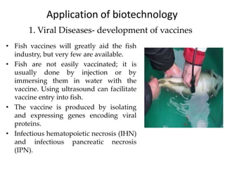 Blue biotechnology | PPTX