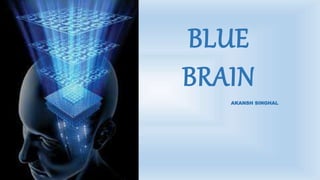 BLUE
BRAIN
AKANSH SINGHAL
 