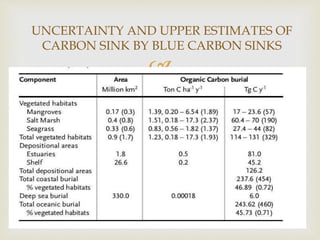 
UNCERTAINTY AND UPPER ESTIMATES OF
CARBON SINK BY BLUE CARBON SINKS
 
