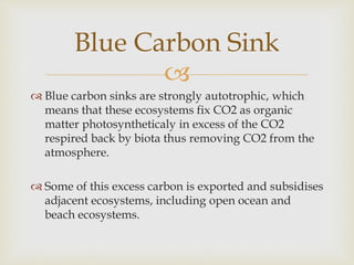 
 Blue carbon sinks are strongly autotrophic, which
means that these ecosystems fix CO2 as organic
matter photosyntheticaly in excess of the CO2
respired back by biota thus removing CO2 from the
atmosphere.
 Some of this excess carbon is exported and subsidises
adjacent ecosystems, including open ocean and
beach ecosystems.
Blue Carbon Sink
 