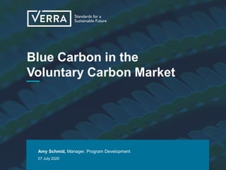 Blue Carbon in the
Voluntary Carbon Market
Amy Schmid, Manager, Program Development
07 July 2020
 
