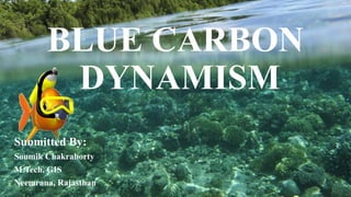 BLUE CARBON
DYNAMISM
Submitted By:
Soumik Chakraborty
M.Tech, GIS
Neemrana, Rajasthan
 