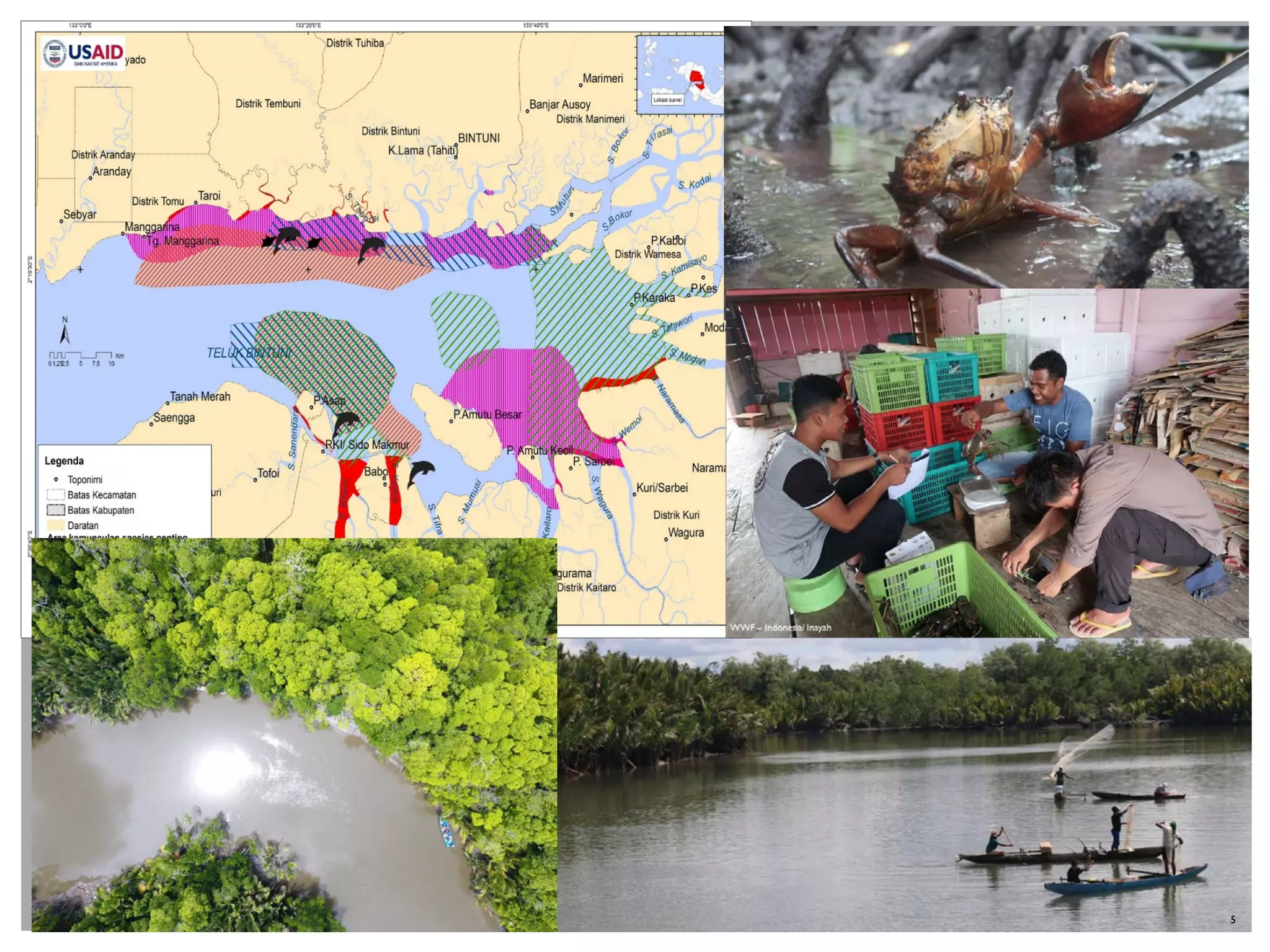 My 28Th Birthday: Protecting Indonesia'S Marine Life - al9paec