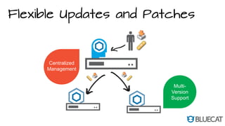 Flexible Updates and Patches
Centralized
Management
Multi-
Version
Support
 