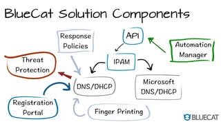 BlueCat Solution Components
API
 