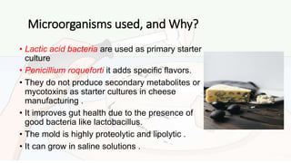 Microorganisms used, and Why?
• Lactic acid bacteria are used as primary starter
culture
• Penicillium roqueforti it adds specific flavors.
• They do not produce secondary metabolites or
mycotoxins as starter cultures in cheese
manufacturing .
• It improves gut health due to the presence of
good bacteria like lactobacillus.
• The mold is highly proteolytic and lipolytic .
• It can grow in saline solutions .
 