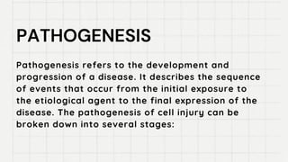 Pathogenesis Ppt Basic Introduction of the General Pathology | PDF