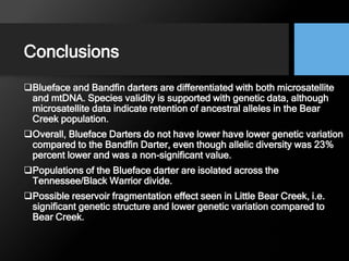 Conclusions
Blueface and Bandfin darters are differentiated with both microsatellite
and mtDNA. Species validity is supported with genetic data, although
microsatellite data indicate retention of ancestral alleles in the Bear
Creek population.
Overall, Blueface Darters do not have lower have lower genetic variation
compared to the Bandfin Darter, even though allelic diversity was 23%
percent lower and was a non-significant value.
Populations of the Blueface darter are isolated across the
Tennessee/Black Warrior divide.
Possible reservoir fragmentation effect seen in Little Bear Creek, i.e.
significant genetic structure and lower genetic variation compared to
Bear Creek.
 