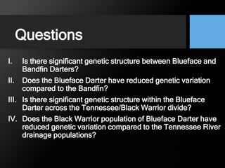 Questions
I. Is there significant genetic structure between Blueface and
Bandfin Darters?
II. Does the Blueface Darter have reduced genetic variation
compared to the Bandfin?
III. Is there significant genetic structure within the Blueface
Darter across the Tennessee/Black Warrior divide?
IV. Does the Black Warrior population of Blueface Darter have
reduced genetic variation compared to the Tennessee River
drainage populations?
 