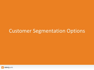 Customer Segmentation Options
 