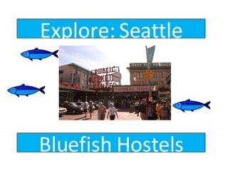 Bluefish Hostels Explore: Seattle 