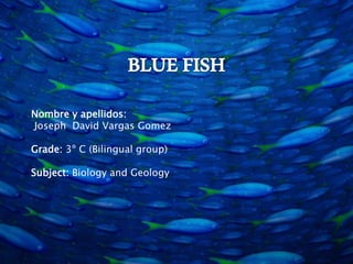 Nombre y apellidos: 
Joseph David Vargas Gomez 
Grade: 3º C (Bilingual group) 
Subject: Biology and Geology 
 