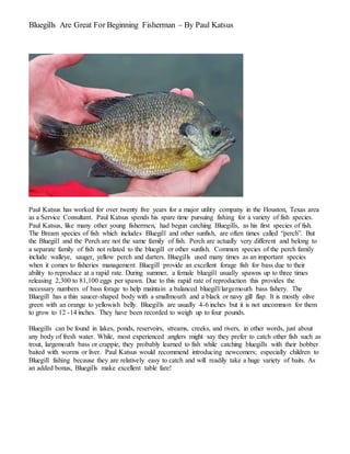 Bluegills Are Great For Beginning Fisherman – By Paul Katsus
Paul Katsus has worked for over twenty five years for a major utility company in the Houston, Texas area
as a Service Consultant. Paul Katsus spends his spare time pursuing fishing for a variety of fish species.
Paul Katsus, like many other young fishermen, had begun catching Bluegills, as his first species of fish.
The Bream species of fish which includes Bluegill and other sunfish, are often times called “perch”. But
the Bluegill and the Perch are not the same family of fish. Perch are actually very different and belong to
a separate family of fish not related to the bluegill or other sunfish. Common species of the perch family
include walleye, sauger, yellow perch and darters. Bluegills used many times as an important species
when it comes to fisheries management Bluegill provide an excellent forage fish for bass due to their
ability to reproduce at a rapid rate. During summer, a female bluegill usually spawns up to three times
releasing 2,300 to 81,100 eggs per spawn. Due to this rapid rate of reproduction this provides the
necessary numbers of bass forage to help maintain a balanced bluegill/largemouth bass fishery. The
Bluegill has a thin saucer-shaped body with a smallmouth and a black or navy gill flap. It is mostly olive
green with an orange to yellowish belly. Bluegills are usually 4-6 inches but it is not uncommon for them
to grow to 12 -14 inches. They have been recorded to weigh up to four pounds.
Bluegills can be found in lakes, ponds, reservoirs, streams, creeks, and rivers, in other words, just about
any body of fresh water. While, most experienced anglers might say they prefer to catch other fish such as
trout, largemouth bass or crappie, they probably learned to fish while catching bluegills with their bobber
baited with worms or liver. Paul Katsus would recommend introducing newcomers; especially children to
Bluegill fishing because they are relatively easy to catch and will readily take a huge variety of baits. As
an added bonus, Bluegills make excellent table fare!
 