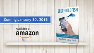 Blue Goldfish - Using Technology, Data and Analytics to Drive Both Profits and Prophets