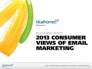 BlueHornet Consumer Views of Email Marketing 2013 