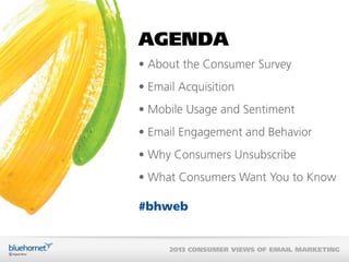 BlueHornet Consumer Views of Email Marketing 2013 