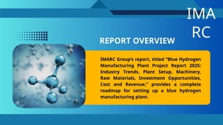 Blue Hydrogen Manufacturing Plant Project Report 1 (2).pptx