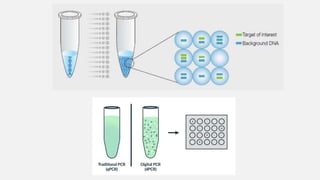 Illus Lab Blue Illustrated Laboratory Presentation.pptx