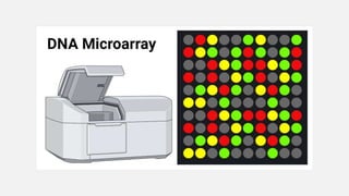 Illus Lab Blue Illustrated Laboratory Presentation.pptx