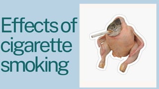 Effectsof
cigarette
smoking
 
