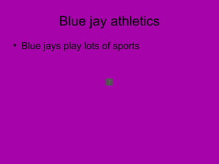 Blue jay athletics Blue jays play lots of sports 