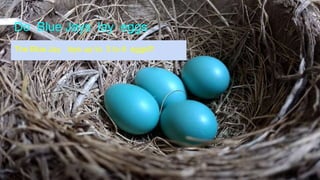 Do Blue Jays lay eggs
The Blue Jay lays up to 3 to 6 eggs!!!
 