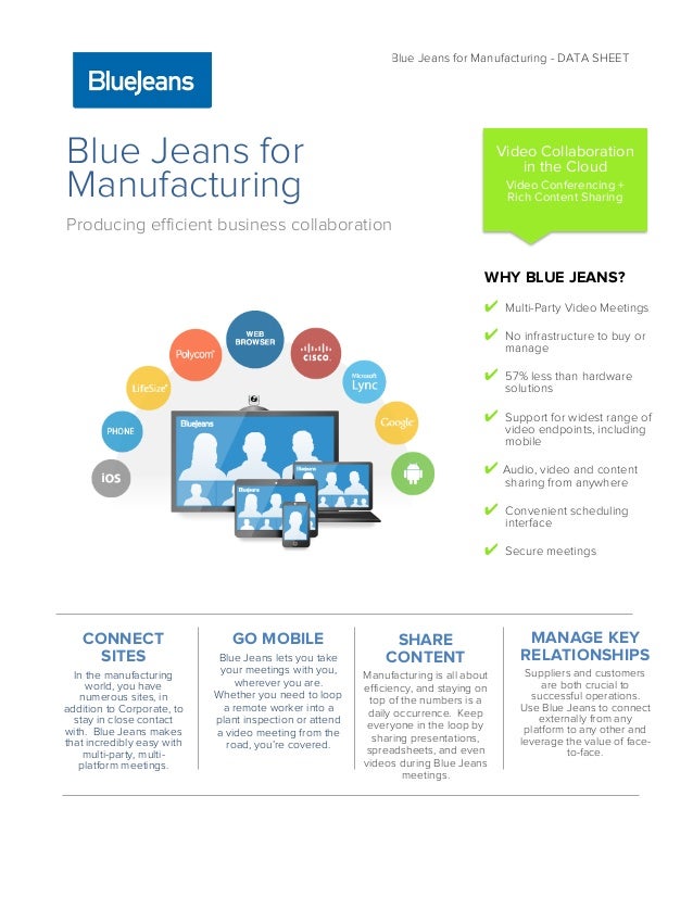 blue jeans network inc