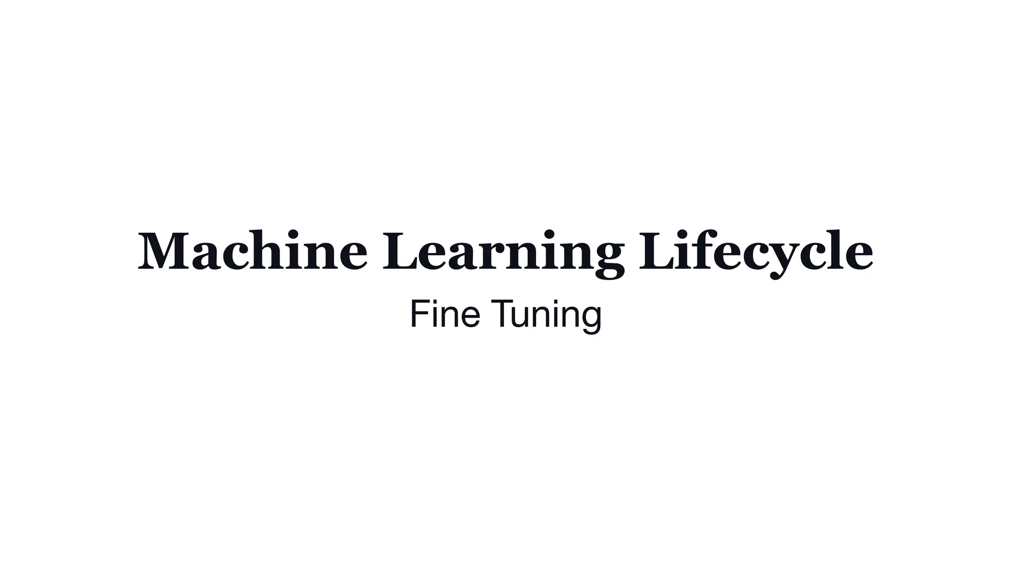 Machine Learning Lifecycle
Fine Tuning
 
