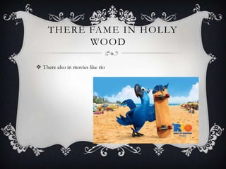THERE FAME IN HOLLY
           WOOD

 There also in movies like rio
 