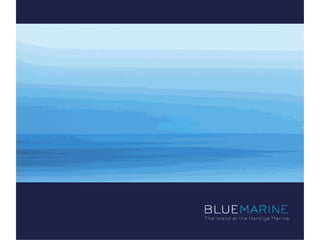 פרויקט חדש לברק רוזן ואסי טוכמאייר (קנדה ישראל) - Blue Marine