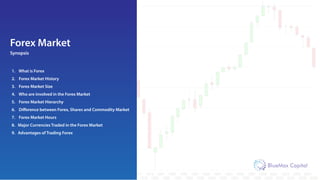 All About Forex Trading - BlueMax Capital