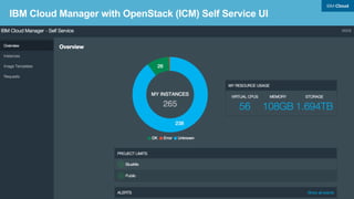 Bluemix UCD Process Design
 