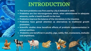 Probiotic bacteria and their importance in aquaculture.pdf