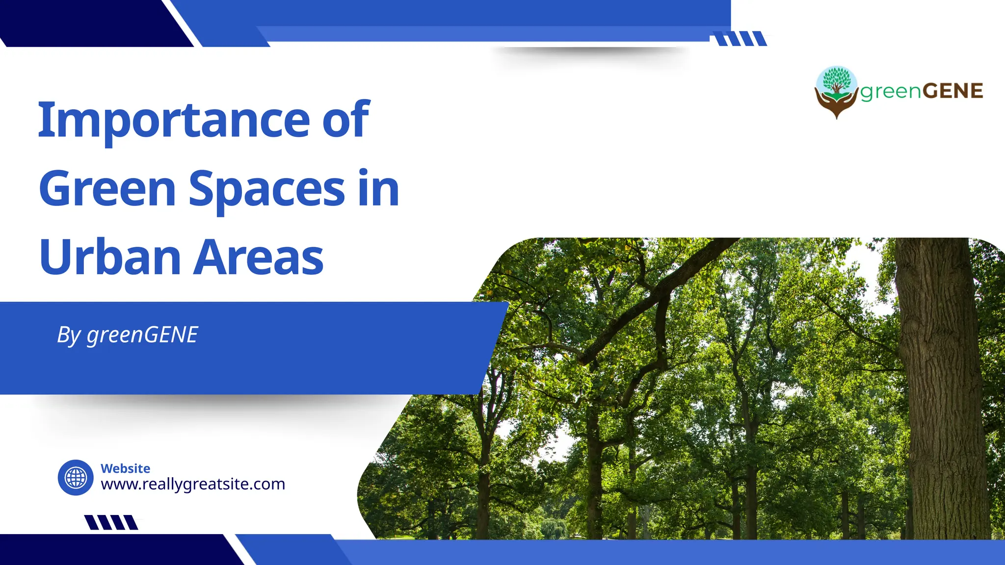 Importance of Green Spaces in Urban Areas | PPTX