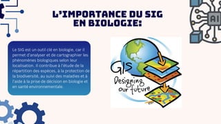 L’importance du SIG
en biologie:
Le SIG est un outil clé en biologie, car il
permet d’analyser et de cartographier les
phénomènes biologiques selon leur
localisation. Il contribue à l’étude de la
répartition des espèces, à la protection de
la biodiversité, au suivi des maladies et à
l’aide à la prise de décision en biologie et
en santé environnementale.
 
