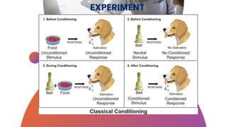 CLASSICAL CONDITIONING | PDF