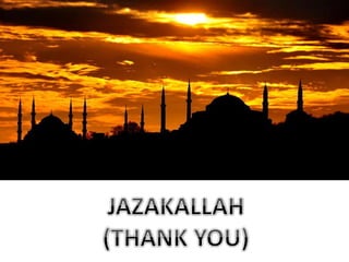 Blue mosque documentary