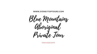 Blue mountains aboriginal private tour