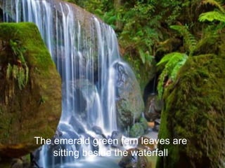 The emerald green fern leaves are 
sitting beside the waterfall 
 