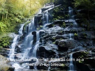 A crystal clear waterfall flows as calm as a 
feather in the breeze. 
 