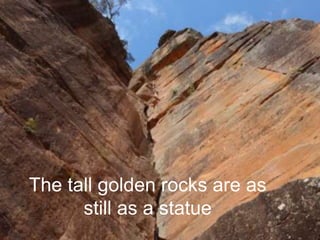 The tall golden rocks are as 
still as a statue 
 
