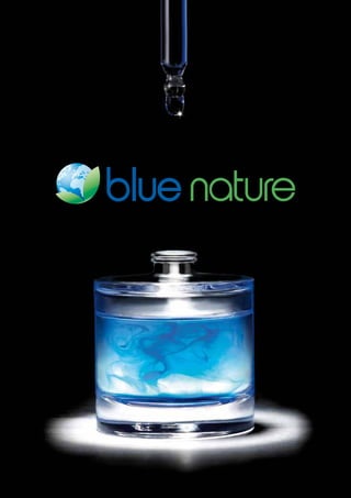 WWW.NWANETWORK.ES - NWA - Network World Alliance - Blue nature katalog_pt