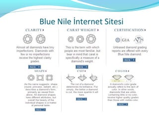 Blue Nile İnternet Sitesi
 