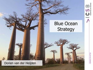 Blue Ocean Strategy Dorien van der Heijden 